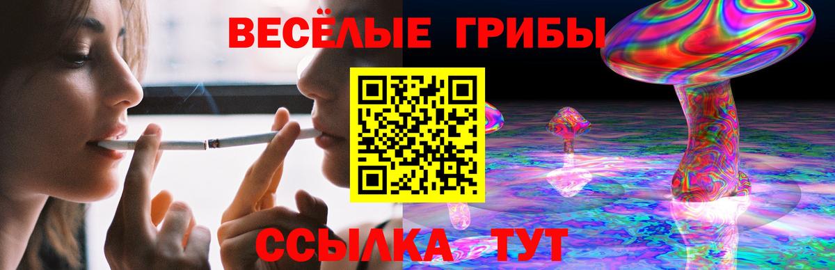 Железноводск  Псилоцибиновые грибы Magic Shrooms  Вход с VPN 